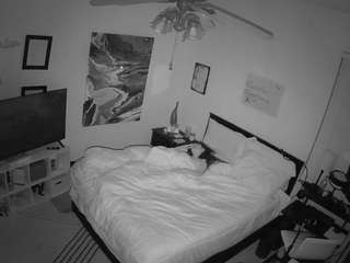 voyeurcam-hornyhostel-01 webcam