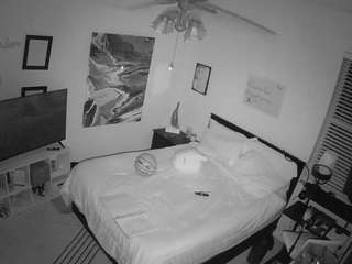 voyeurcam-hornyhostel-01 webcam