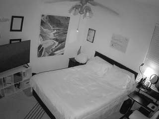The Horny Hostel - Bedroom 2