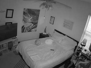 voyeurcam-hornyhostel-01