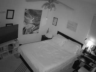 The Horny Hostel - Bedroom 2