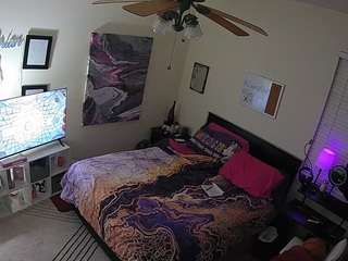 The Horny Hostel - Bedroom 2