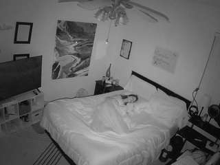 The Horny Hostel - Bedroom 2