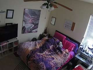 voyeurcam-hornyhostel-01