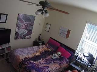voyeurcam-hornyhostel-01 webcam