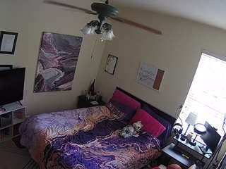 voyeurcam-hornyhostel-01