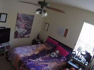 voyeurcam-hornyhostel-01