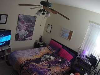 voyeurcam-hornyhostel-01