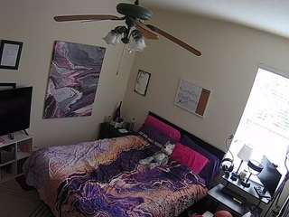 voyeurcam-hornyhostel-01 webcam