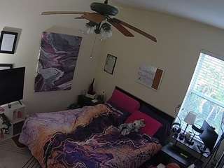 voyeurcam-hornyhostel-01 webcam