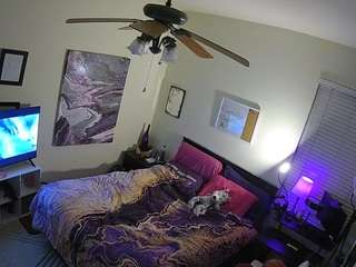 voyeurcam-hornyhostel-01 webcam