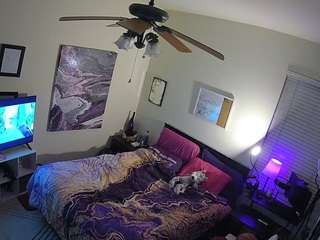 voyeurcam-hornyhostel-01 webcam