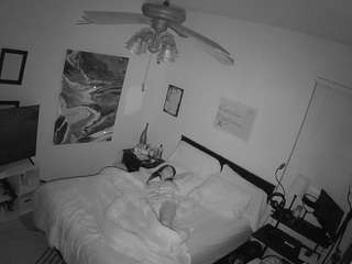 voyeurcam-hornyhostel-01 webcam