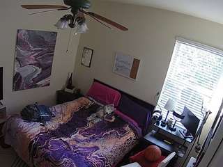voyeurcam-hornyhostel-01