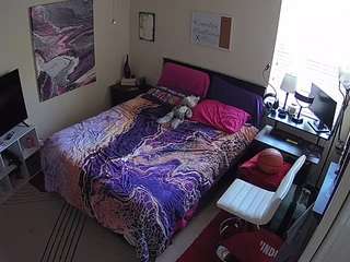 voyeurcam-hornyhostel-01