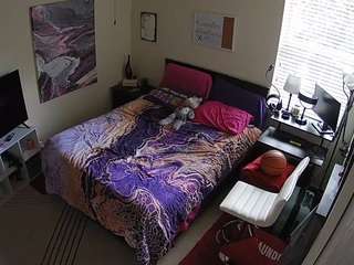 voyeurcam-hornyhostel-01