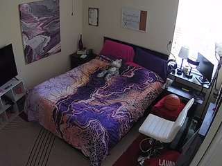 Ce modèle est en direct maintenant. voyeurcam-hornyhostel-01