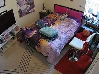 voyeurcam-hornyhostel-01
