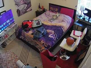 voyeurcam-hornyhostel-01 Sex Cam Show