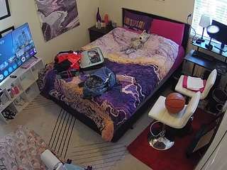 voyeurcam-hornyhostel-01