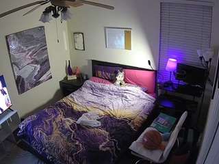 The Horny Hostel - Bedroom 2 live webcam show