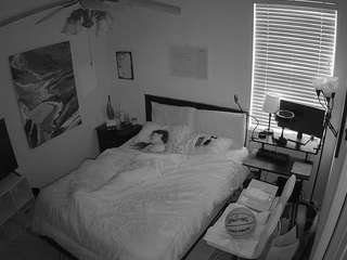 voyeurcam-hornyhostel-01