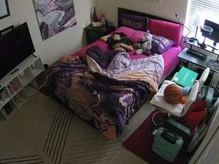 The Horny Hostel - Bedroom 2 live webcam show