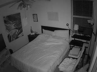 The Horny Hostel - Bedroom 2 live cam preview