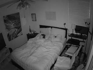 The Horny Hostel - Bedroom 2