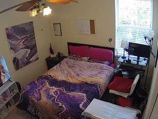 The Horny Hostel - Bedroom 2