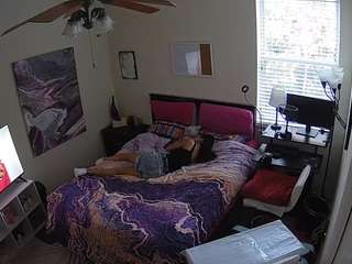 The Horny Hostel - Bedroom 2