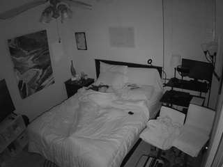 The Horny Hostel - Bedroom 2 live cam preview