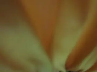 The Horny Hostel - Bedroom 2's Live Sex Cam Show