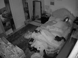 Pornstar, Hd, Voyeur, Striptease, Sexwebcam, Pov, Hidden cam, Hidden, Flash..., Web Cam Live Porn 8