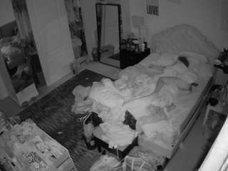 voyeurcam-hornyh... Live Webcam on CamSoda