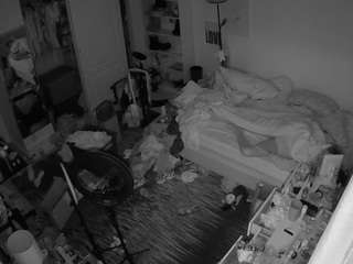 voyeurcam-hornyhoste... webcam