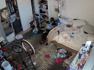 voyeurcam hornyhostel 02