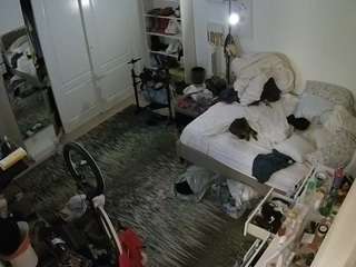 voyeurcam-hornyh... Live Webcam on CamSoda