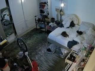 voyeurcam-hornyh... Live Webcam on CamSoda