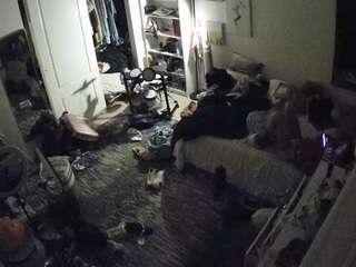 voyeurcam-hornyhostel-02