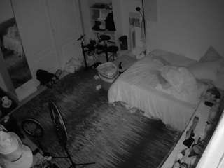 voyeurcam-hornyh... Live Webcam on CamSoda