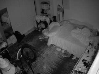 voyeurcam-hornyh... Live Webcam on CamSoda