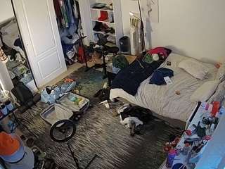 voyeurcam-hornyh... Live Webcam on CamSoda