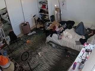 voyeurcam-hornyh... Live Webcam on CamSoda