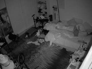 voyeurcam-hornyhostel-02