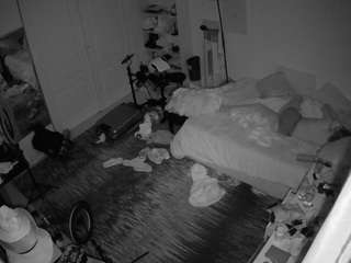 voyeurcam-hornyhostel-02