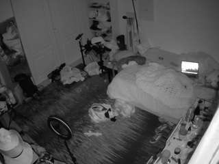 voyeurcam-hornyh... Live Webcam on CamSoda