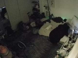 voyeurcam hornyhostel 02 live webcam on Soda Cams