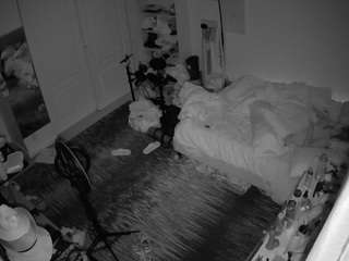 voyeurcam-hornyhostel-02 webcam