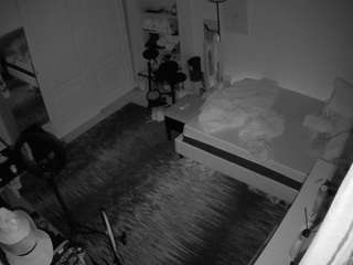 voyeurcam-hornyhostel-02
